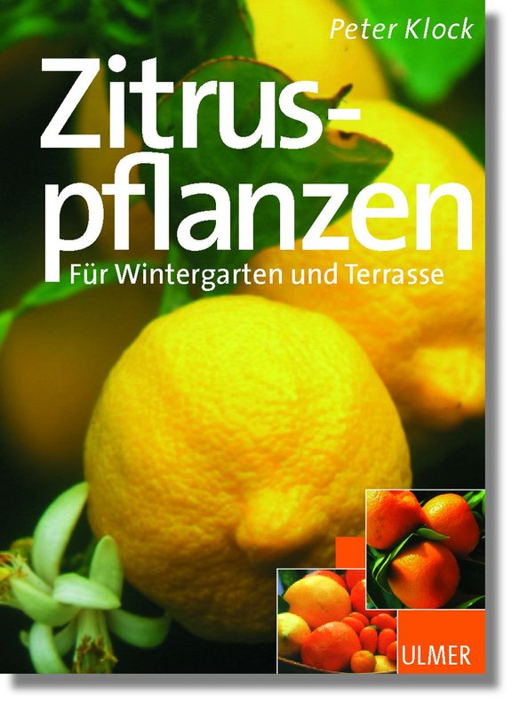 Zitruspflanzen f�r Wintergarten und Terrass