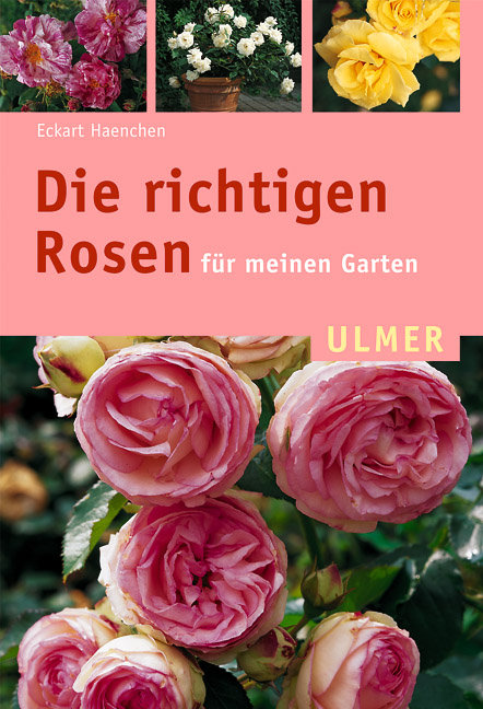 Die richtigen Rosen f�r meinen Garten