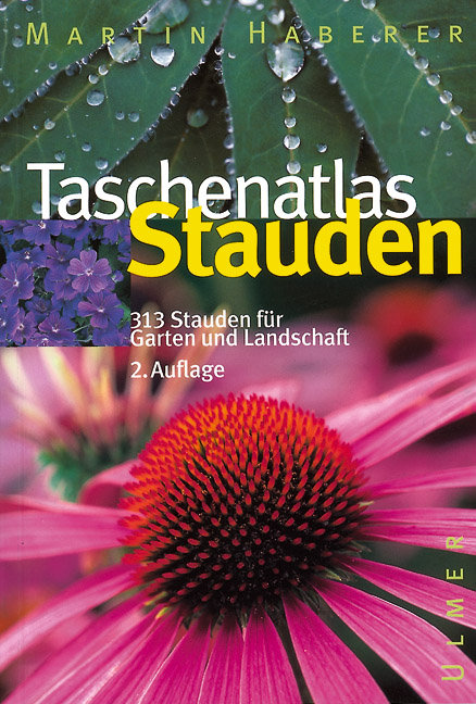 Taschenatlas Stauden
