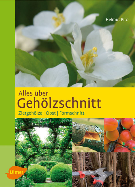 Alles �ber Geh�lzschnitt