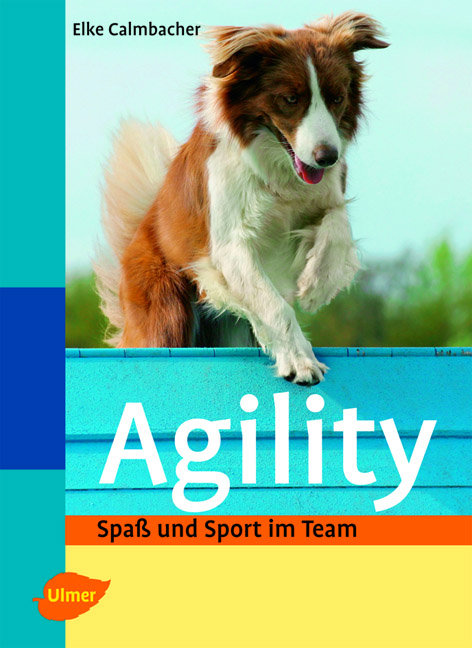 Agility