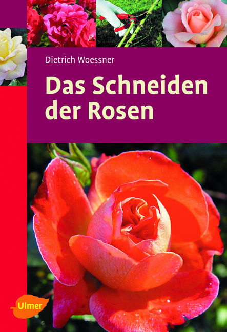 Das Schneiden der Rosen