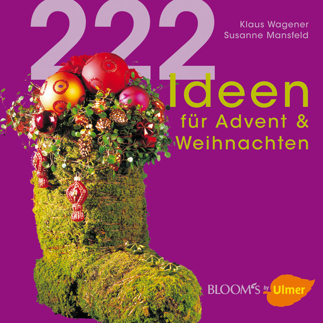 222 Ideen f�r Advent & Weihnachten