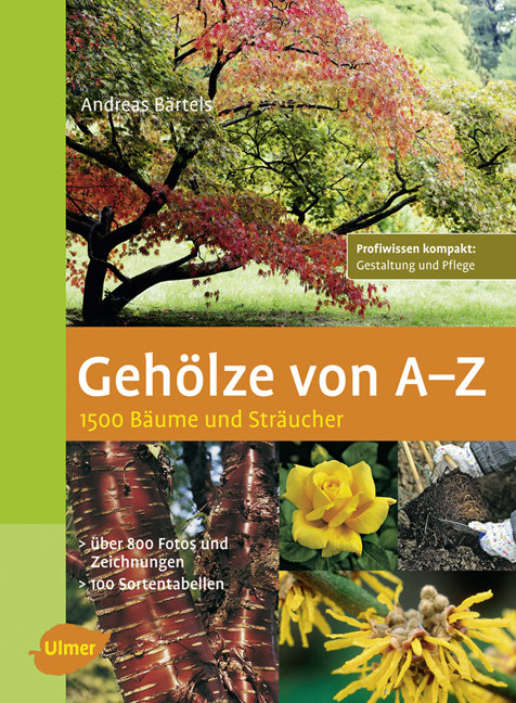 Geh�lze von A - Z