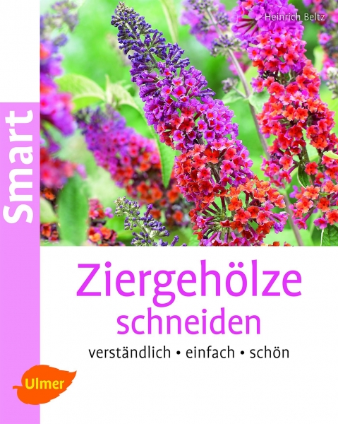 Ziergehölze schneiden