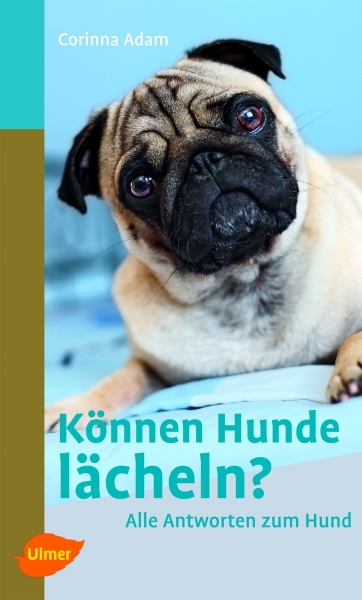 Können Hunde lächeln?